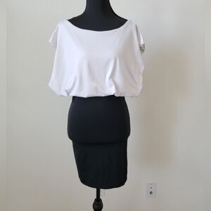 Classic Black Pencil Skirt with White Blouson Top